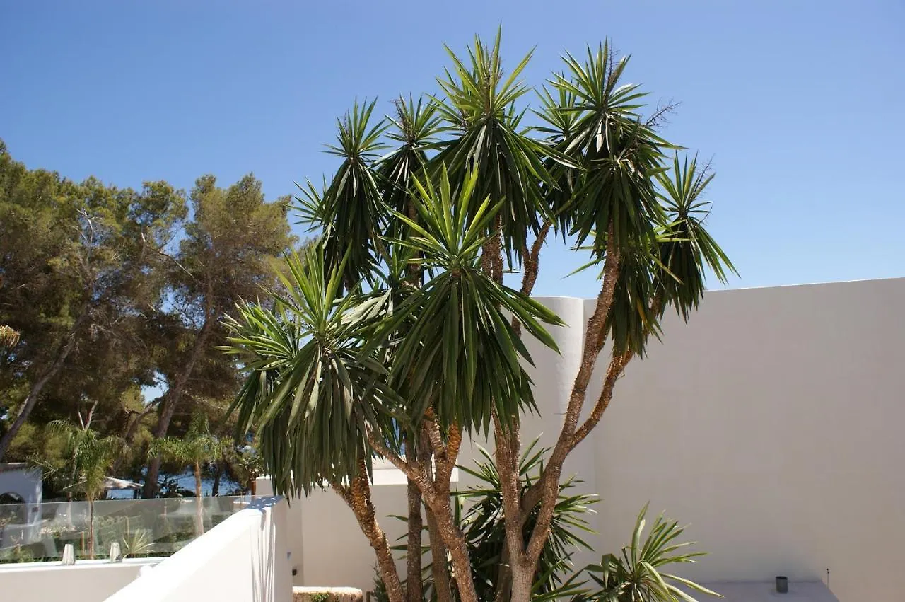Extravagant Ibiza Villa Casa Tranquila Sargamassa 5 Bedrooms Fantastic Sea Views Private Pool Santa Eulalia Santa Eularia des Riu